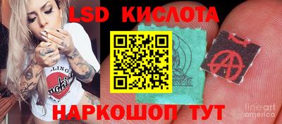 шишки Краснокаменск