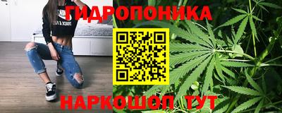 ГАЛЛЮЦИНОГЕННЫЕ ГРИБЫ Краснознаменск