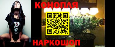 ГАЛЛЮЦИНОГЕННЫЕ ГРИБЫ Краснознаменск