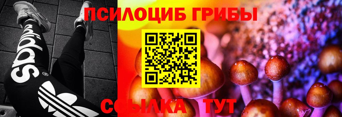 Галлюциногенные грибы Psilocybe Ялуторовск