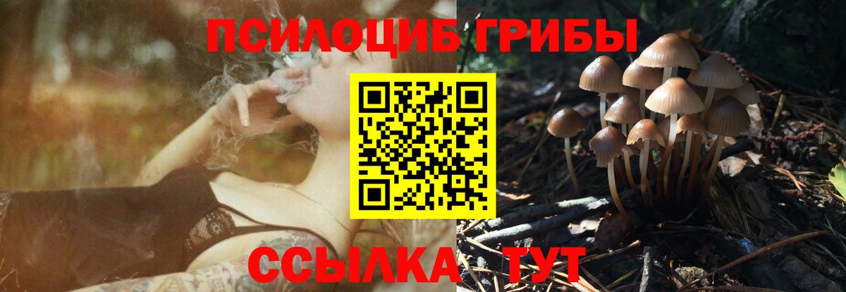 Псилоцибиновые грибы Psilocybe  Галлюциногенные грибы GOLDEN TEACHER  Ялуторовск  Вход с VPN 